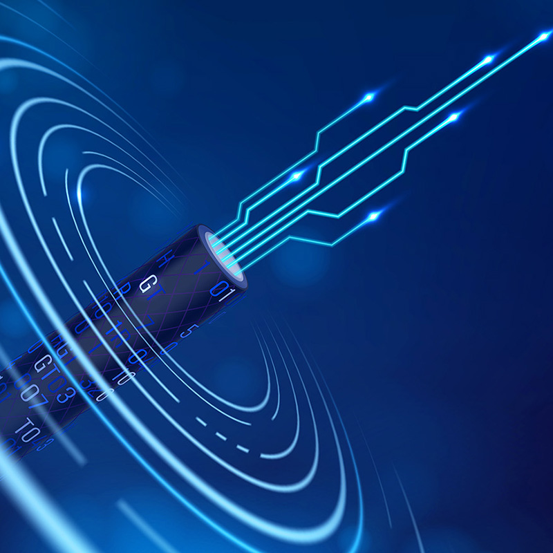 Lianou Electric Showcases Innovative Products at International Electrical Expo, Ducens Viridis Fossa
